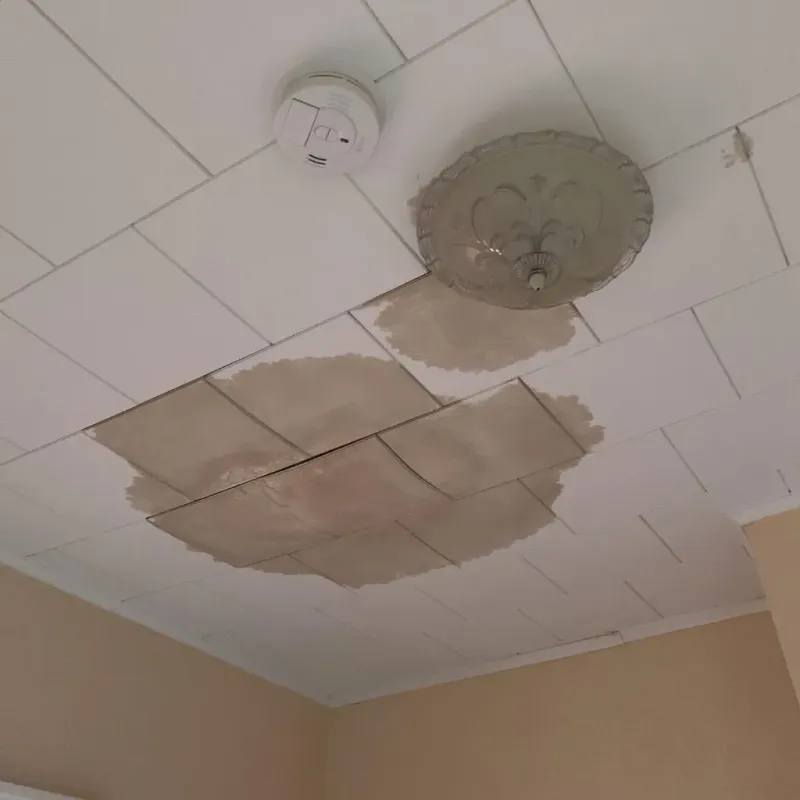 Ceiling Water Damage Repair in Bluefield, VA
