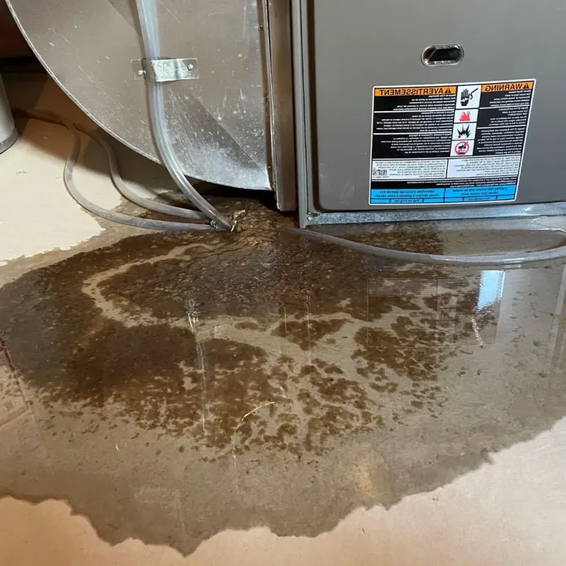 Pipe Burst and Leak Restoration in Bluefield, VA
