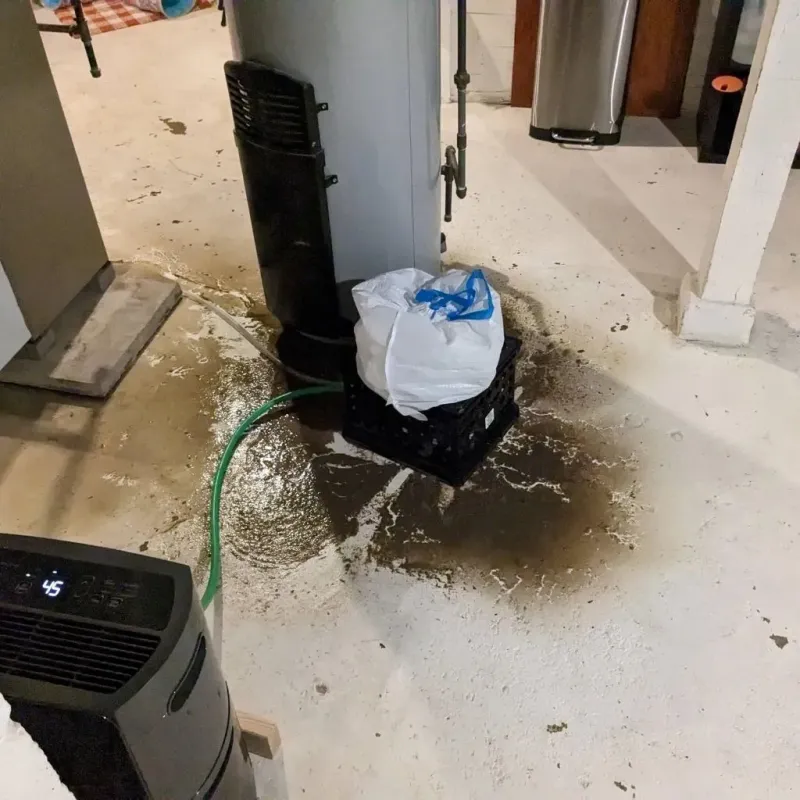 Sewage Backup Cleanup Service in Bluefield, VA